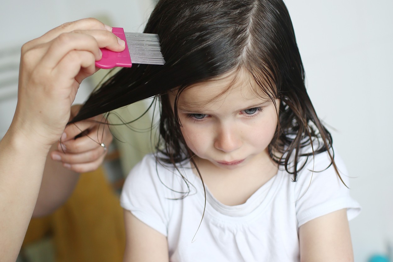 A mother passes a lice comb in the hair of her 6 years old girl